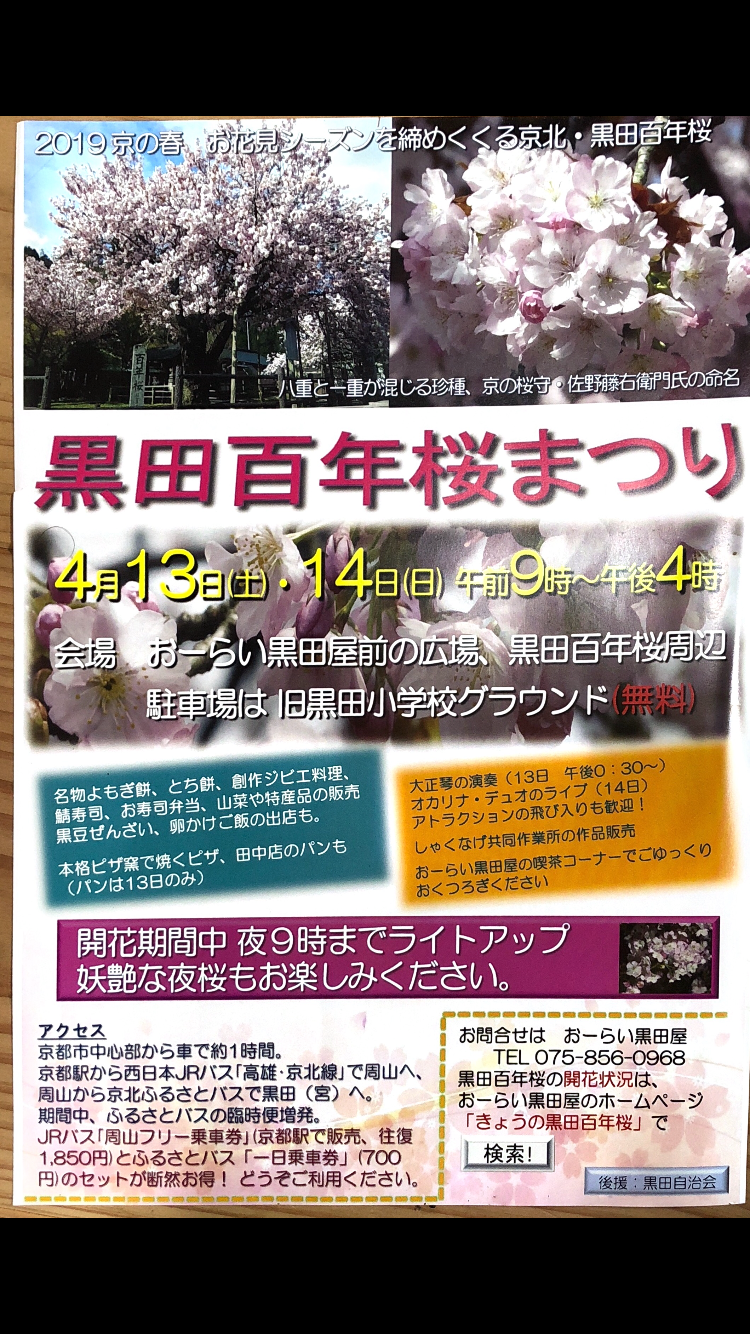 4 13 土 14 日 黒田百年桜まつりに出店します 京都 京北の農家あらい農園